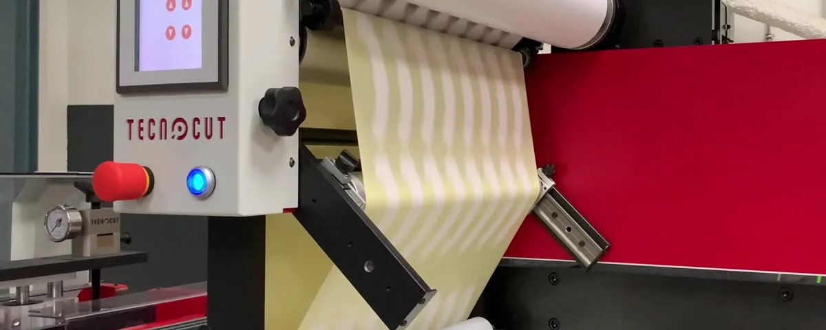 Detail of the Desmasystem taking up the matrix
