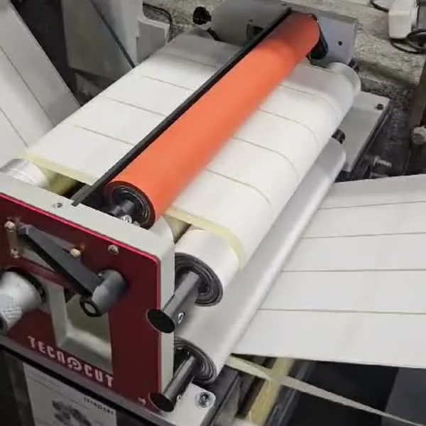 Label Mover sobre una Gallus ECS 340